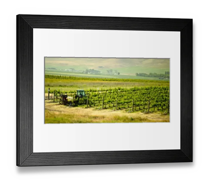 Framed Print : USA, North America, Washington Framed Print : USA, North America, Washington
