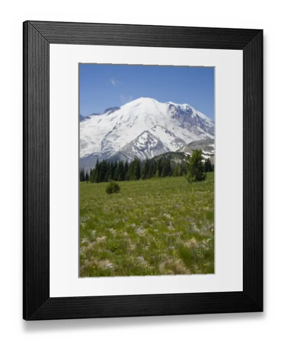 Framed Print : WA, Mount Rainier National Park, Mount Rainier, with Steamboat Prow formation, view Framed Print : WA, Mount Rainier National Park, Mount Rainier, with Steamboat Prow formation, view