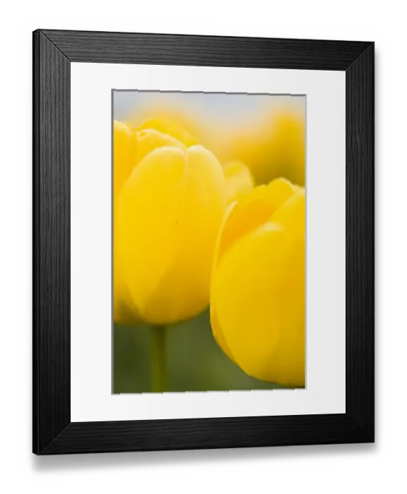 Framed Print : USA, North America, Washington Framed Print : USA, North America, Washington