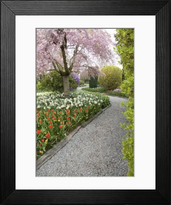 Framed Print : USA, North America, Washington Framed Print : USA, North America, Washington