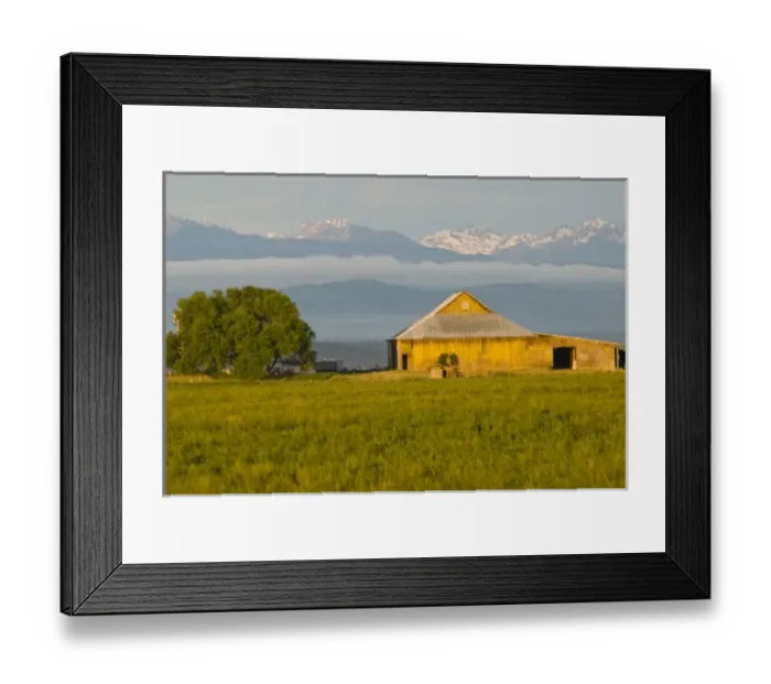Framed Print : USA, WA, Island County, Whidbey Island. Ebeys Landing National Historical Reserve