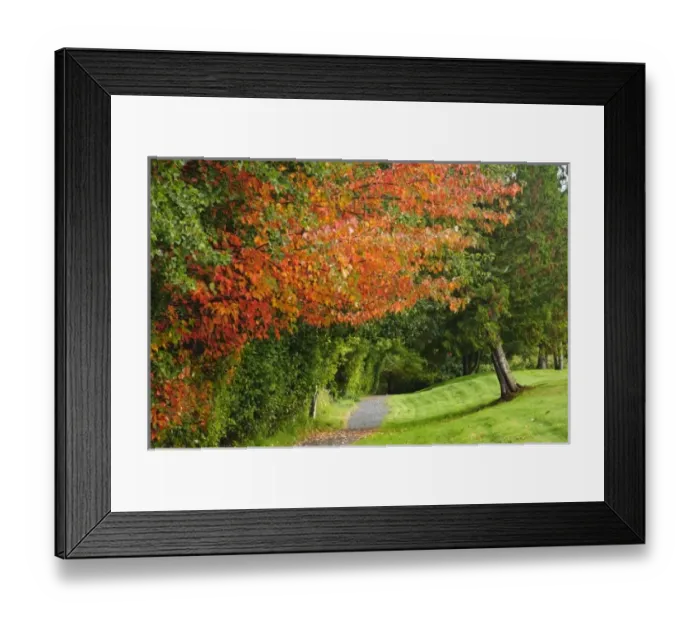 Framed Print : USA, Washington Framed Print : USA, Washington