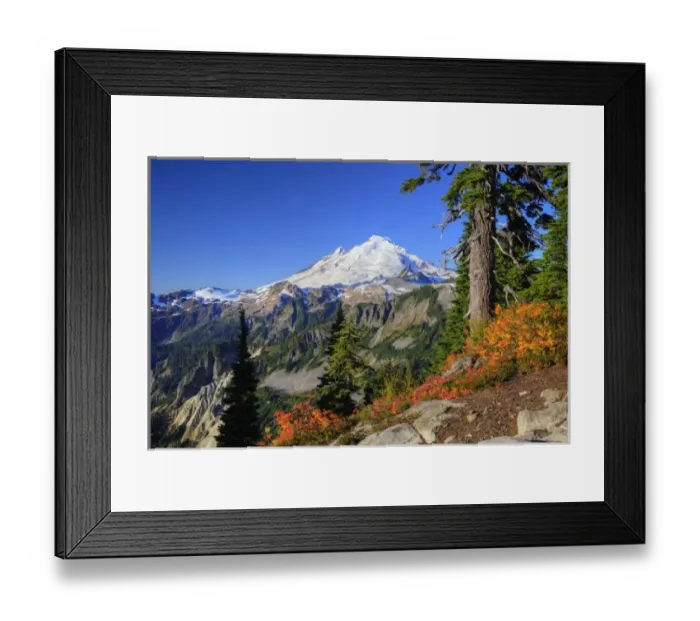 Framed Print : WA, Heather Meadows Recreation Area, view of Mt. Baker from Kulshan Ridge at Artist s Framed Print : WA, Heather Meadows Recreation Area, view of Mt. Baker from Kulshan Ridge at Artist s