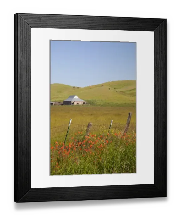 Framed Print : USA, North America, Washington Framed Print : USA, North America, Washington