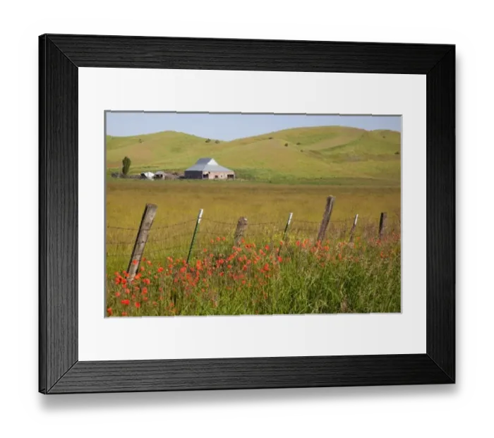 Framed Print : USA, North America, Washington