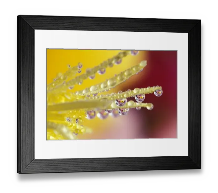 Framed Print : USA, North America