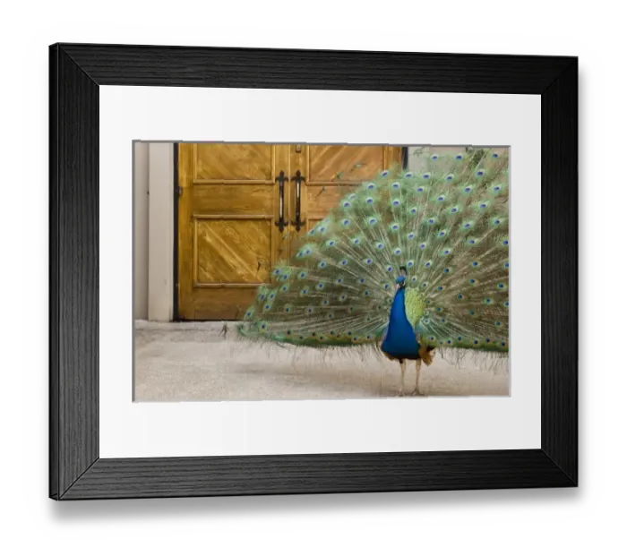 Framed Print : USA, North America, Washington