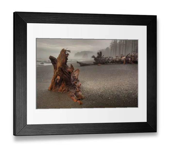 Framed Print : USA, Washington, Olympic National Park, Rialto Beach, Beached trees and logs Framed Print : USA, Washington, Olympic National Park, Rialto Beach, Beached trees and logs