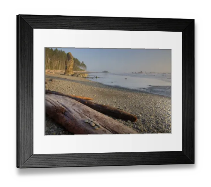 Framed Print : USA, Washington, Olympic National Park, Ruby Beach, Shoreline and Seastacks Framed Print : USA, Washington, Olympic National Park, Ruby Beach, Shoreline and Seastacks