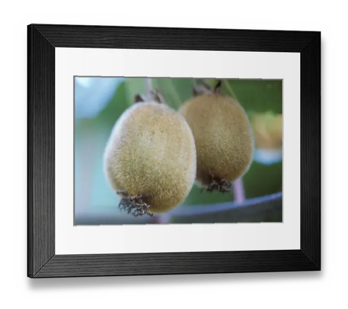Framed Print : USA, North America, Washington Framed Print : USA, North America, Washington