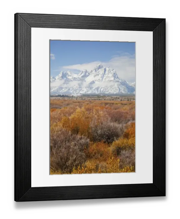 Framed Print : USA, Wyoming, Grand Teton National Park, Teton Range, Cunningham Cabin Historic Site Framed Print : USA, Wyoming, Grand Teton National Park, Teton Range, Cunningham Cabin Historic Site