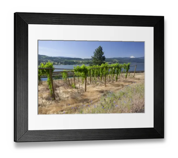 Framed Print : USA, North America, Washington Framed Print : USA, North America, Washington