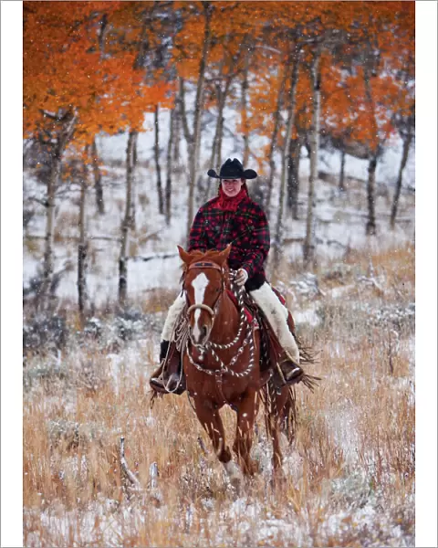 A cowboy in a fall landscaped area of Shell Wyoming in the Big Horn MT