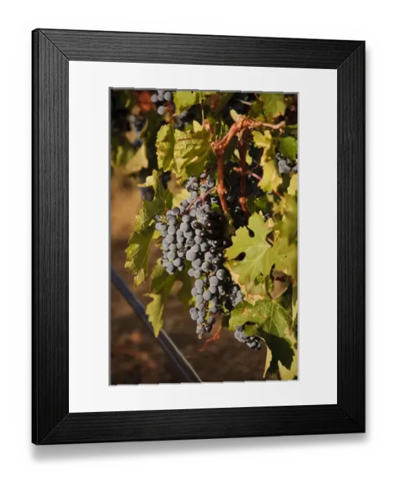 Framed Print : USA, North America, Washington Framed Print : USA, North America, Washington