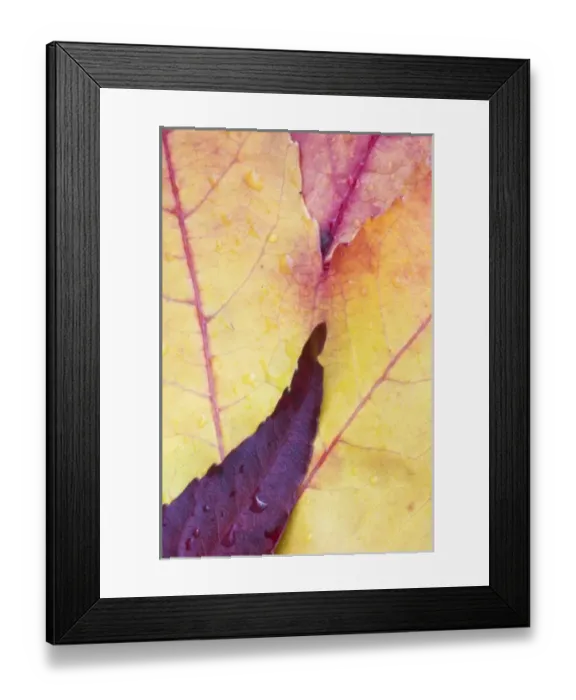 Framed Print : USA, North America, Washington Framed Print : USA, North America, Washington