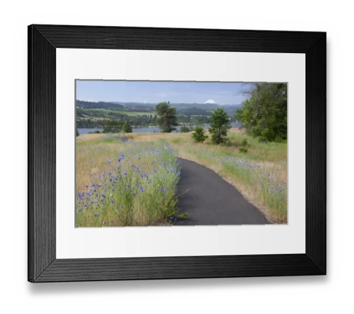 Framed Print : USA, North America, Washington Framed Print : USA, North America, Washington