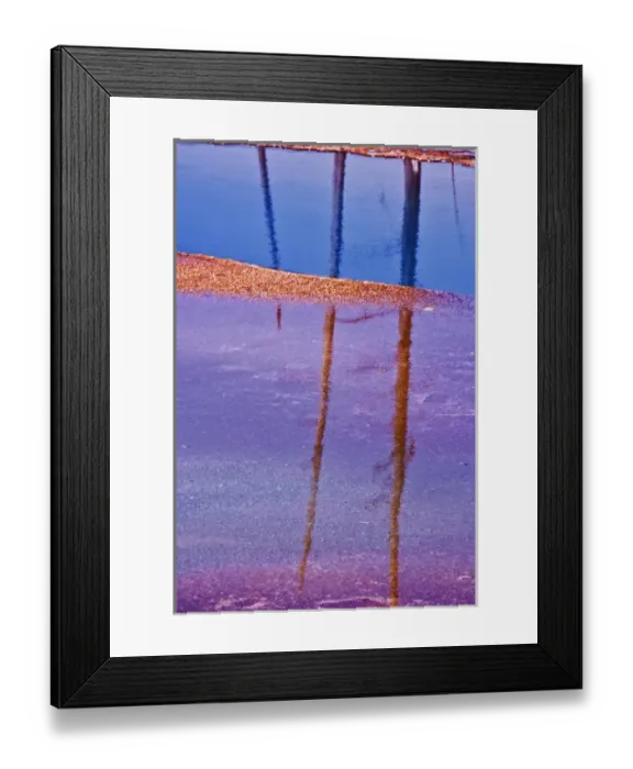 Framed Print : Ghost trees reflecting in bacterial mat around perimeter of Grand Prismatic Spring Framed Print : Ghost trees reflecting in bacterial mat around perimeter of Grand Prismatic Spring
