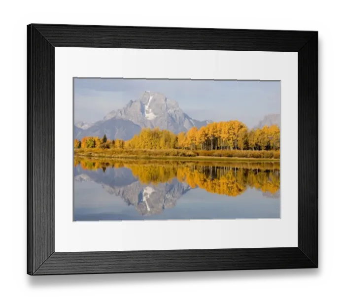 Framed Print : USA, Wyoming, Grand Tetons National Park. Aspen trees reflect in Oxbow bend. Mt Framed Print : USA, Wyoming, Grand Tetons National Park. Aspen trees reflect in Oxbow bend. Mt