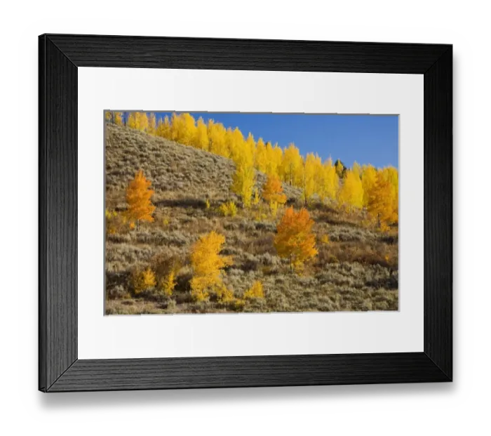 Framed Print : USA, North America, Wyoming Framed Print : USA, North America, Wyoming