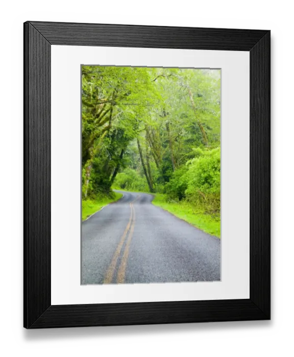 Framed Print : USA, North America, Washington