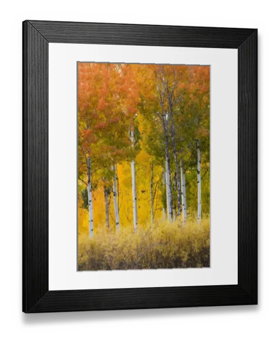 Framed Print : USA, North America, Wyoming Framed Print : USA, North America, Wyoming