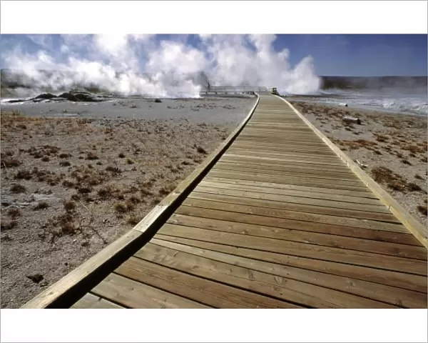 USA, Wyoming, Yellowstone NP. A wooden walkway leads to and from the famed Mammoth Hot Springs