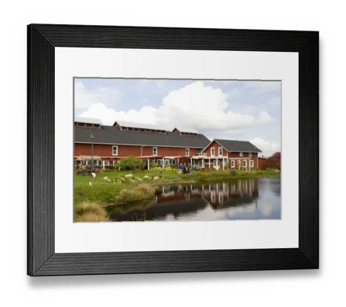 Framed Print : Greenbank Farms on Whidbey Island was largest loganberry producer in US. Now non Framed Print : Greenbank Farms on Whidbey Island was largest loganberry producer in US. Now non