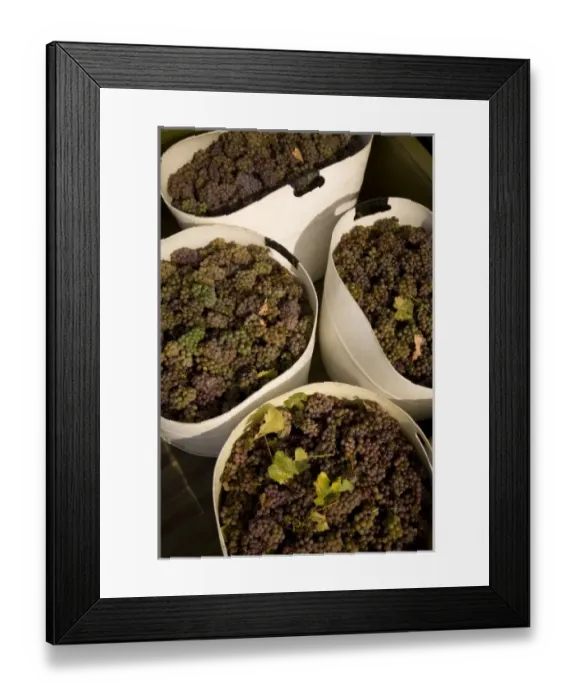 Framed Print : USA, North America, Washington Framed Print : USA, North America, Washington