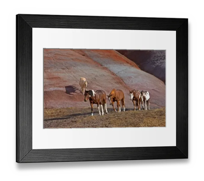 Framed Print : Horses roaming the scenic hills of the Big Horn MT of Shell Wyoming