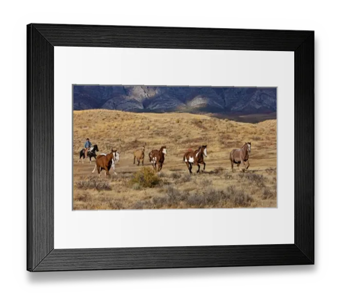 Framed Print : USA, North America, Wyoming Framed Print : USA, North America, Wyoming