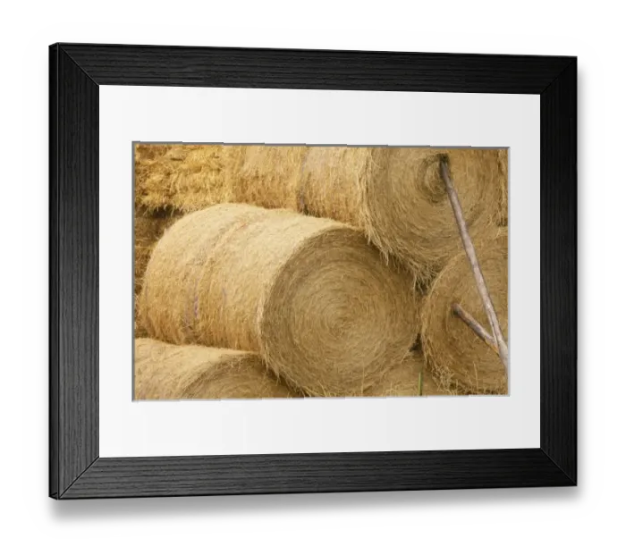 Framed Print : USA, North America, Washington Framed Print : USA, North America, Washington
