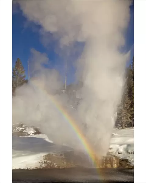 Riverside Geyser erupts along the Firehole River on a nice sunny winter day in Yellowstone