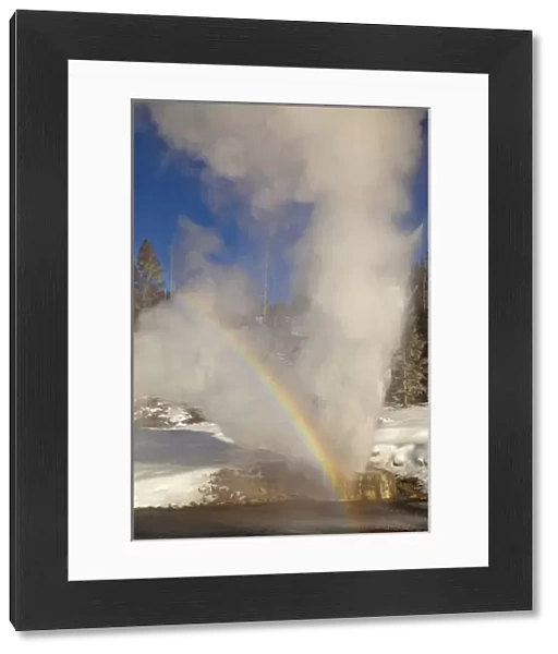 Riverside Geyser erupts along the Firehole River on a nice sunny winter day in Yellowstone