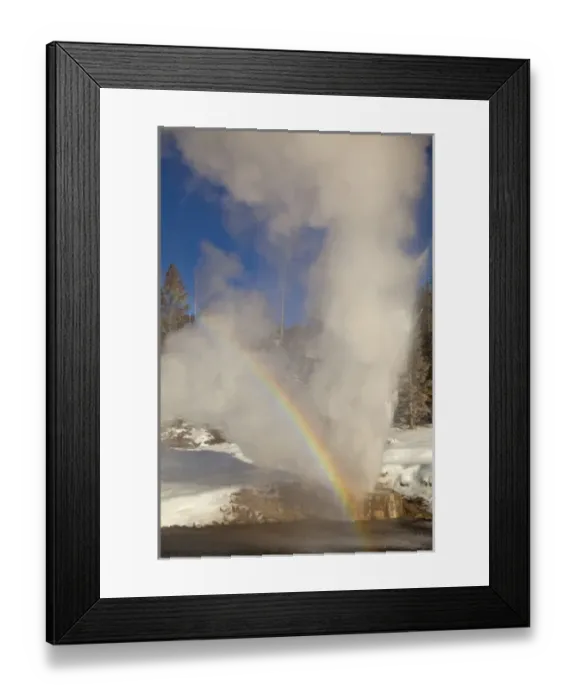 Framed Print : Riverside Geyser erupts along the Firehole River on a nice sunny winter day in Yellowstone