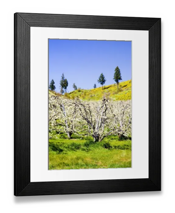 Framed Print : USA, North America, Washington Framed Print : USA, North America, Washington