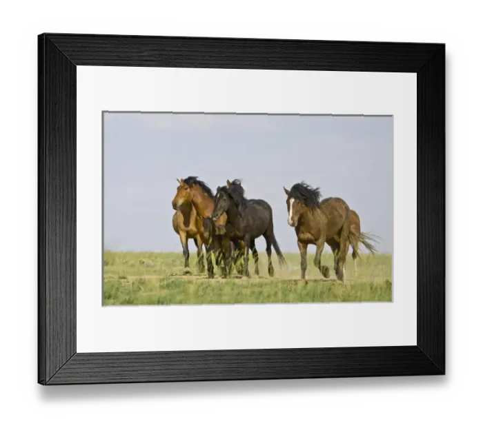 Framed Print : USA, North America, Wyoming