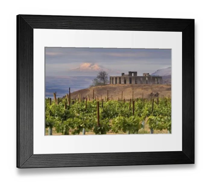 Framed Print : North America, USA, Washington, Maryhill. Oregons snow-capped Mt. Hood seen Framed Print : North America, USA, Washington, Maryhill. Oregons snow-capped Mt. Hood seen