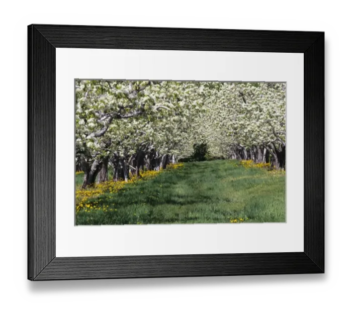 Framed Print : USA, North America, Washington Framed Print : USA, North America, Washington