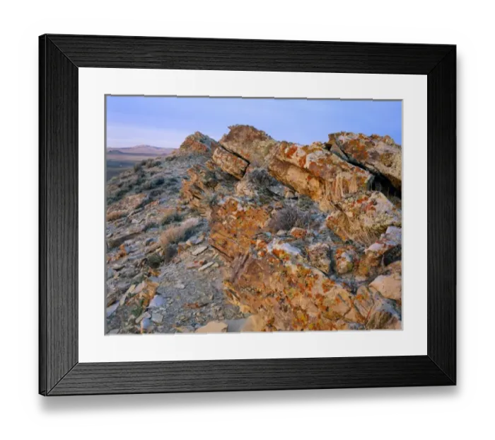 Framed Print : Wyoming. USA. Lichen on tilted rock. Great Divide Basin. Red Desert Framed Print : Wyoming. USA. Lichen on tilted rock. Great Divide Basin. Red Desert