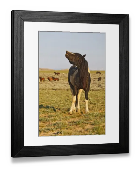 Framed Print : USA, North America, Wyoming Framed Print : USA, North America, Wyoming