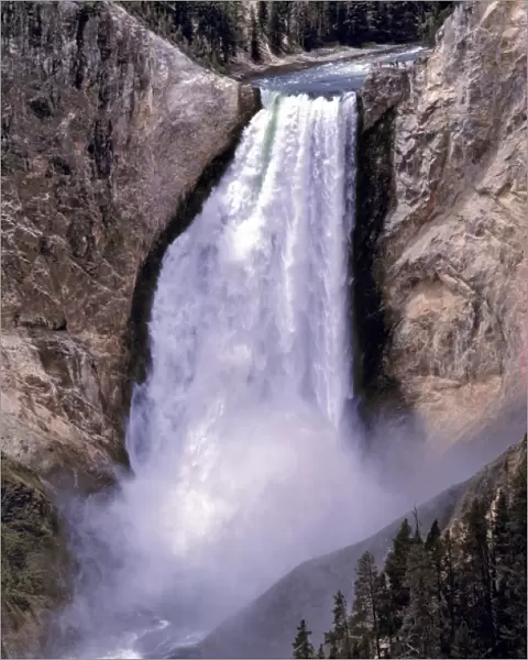 USA, Wyoming, Yellowstone NP. Visitors witness the magnificent power of Yellowstone Falls