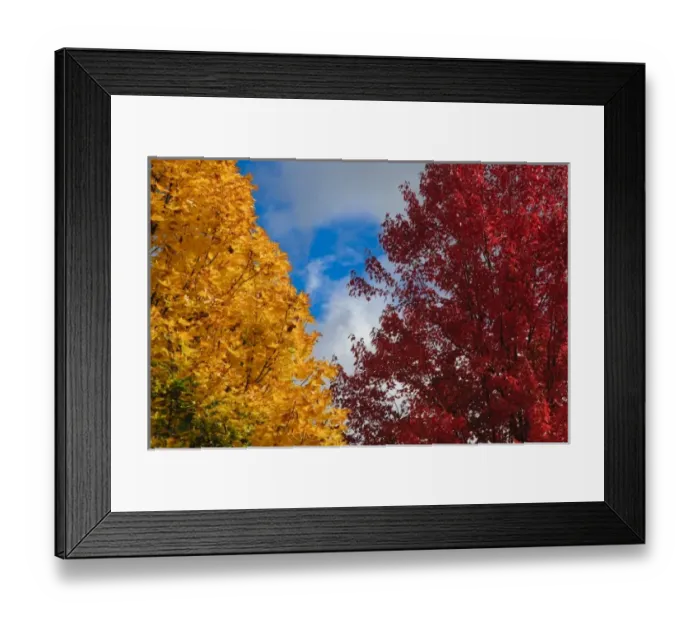 Framed Print : USA, Washington Framed Print : USA, Washington