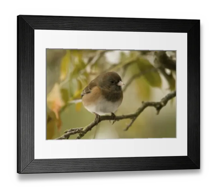 Framed Print : USA, North America, Washington Framed Print : USA, North America, Washington