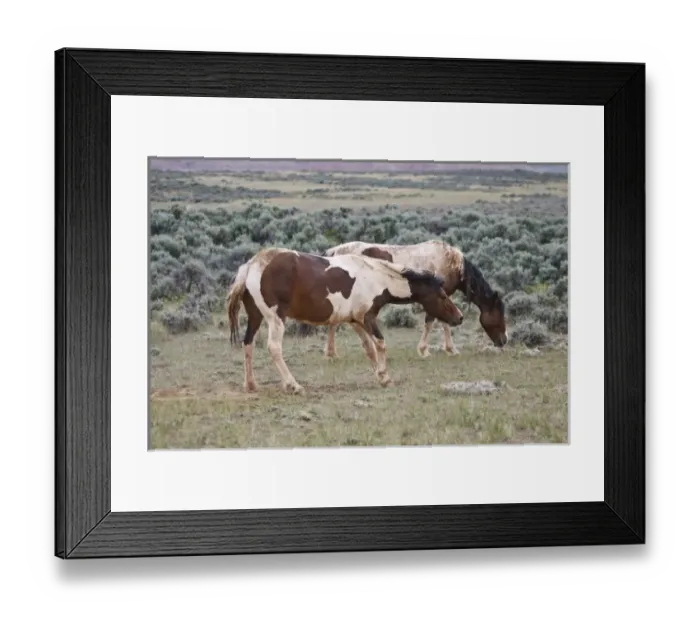 Framed Print : USA, North America, Wyoming Framed Print : USA, North America, Wyoming