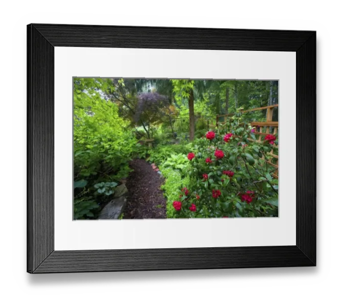Framed Print : Garden designs and pathway in shade garden - in our Garden Sammamish, Washington