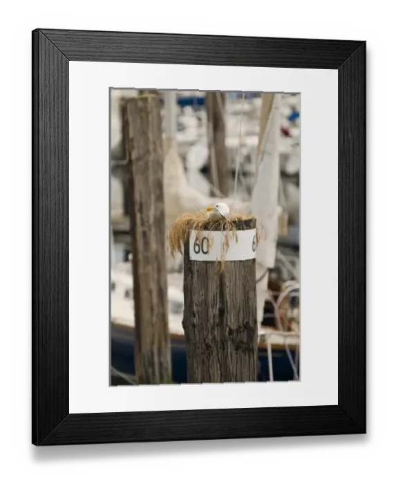 Framed Print : USA, North America, Washington Framed Print : USA, North America, Washington