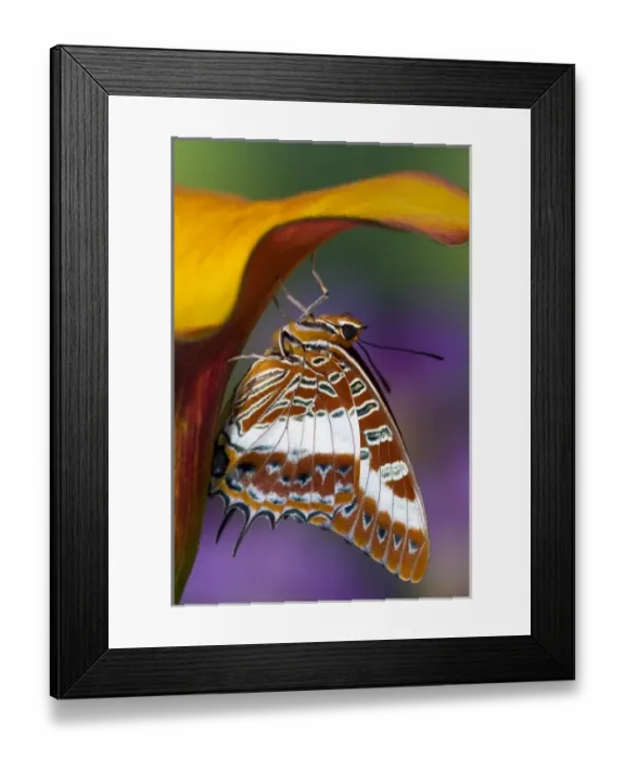 Framed Print : USA, North America, Washington Framed Print : USA, North America, Washington