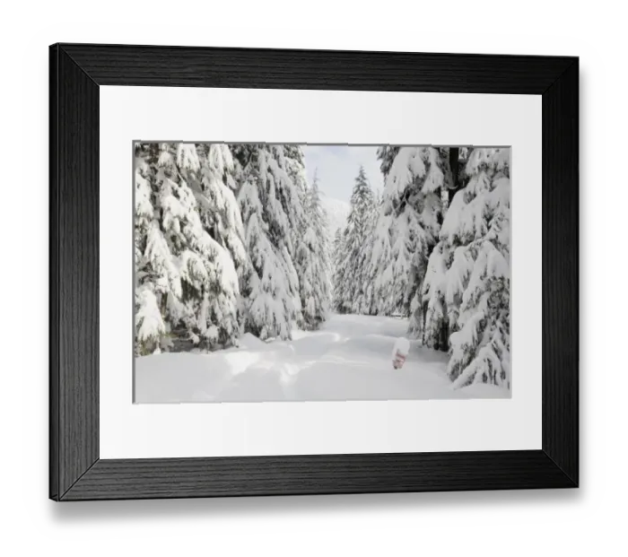 Framed Print : WA, Mount Baker Snoqualmie National Forest, snow covered forest road Framed Print : WA, Mount Baker Snoqualmie National Forest, snow covered forest road