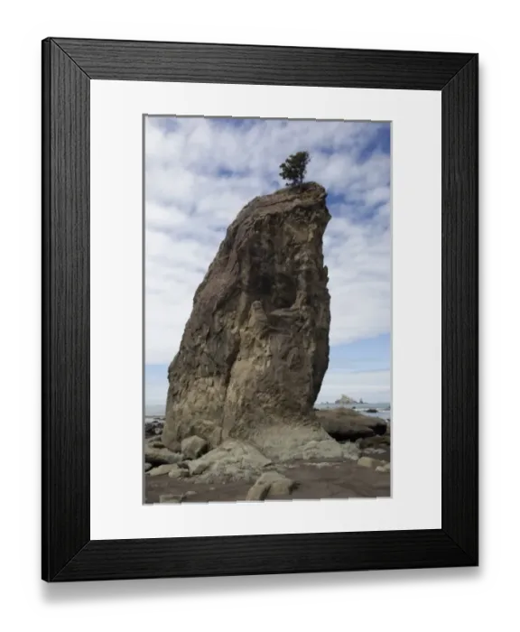 Framed Print : USA, North America, Washington Framed Print : USA, North America, Washington