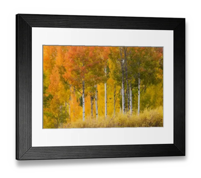Framed Print : USA, North America, Wyoming Framed Print : USA, North America, Wyoming